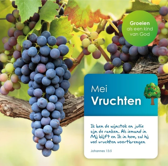Van harte welkom morgen, dinsdag 27 mei, bij de maandsluiting verzorgd door groep 7! We starten om 14.30.#groeienalseenkindvangod #maandsluiting #mei #basisschooldeprincenhof #leeuwarden#noorderbasis