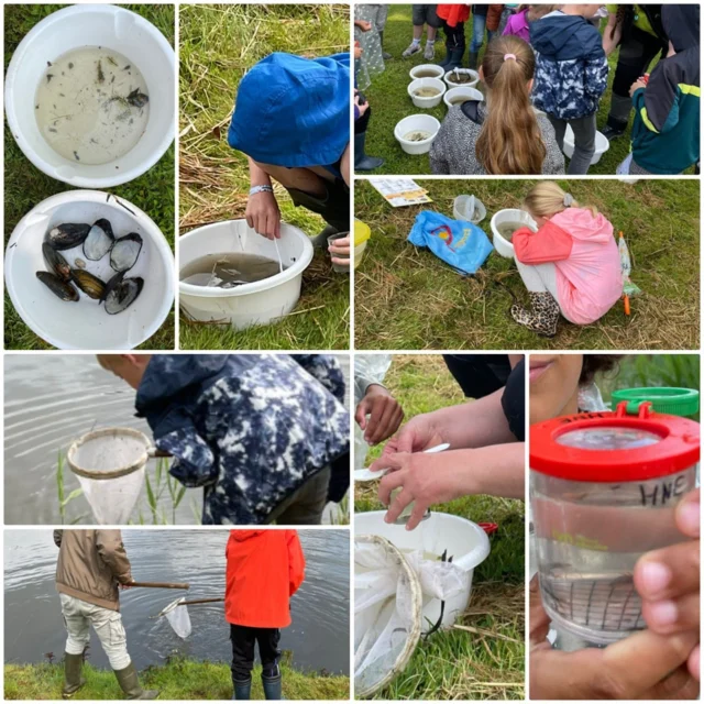 Onze leerlingen van groep 5 leerden vandaag over het leven in en om de sloot! 🦗#ivnnatuureducatie #ontdekken #lekkerbuiten #schepnetjes #loepjes #schepping #basisschooldeprincenhof #leeuwarden #noorderbasis