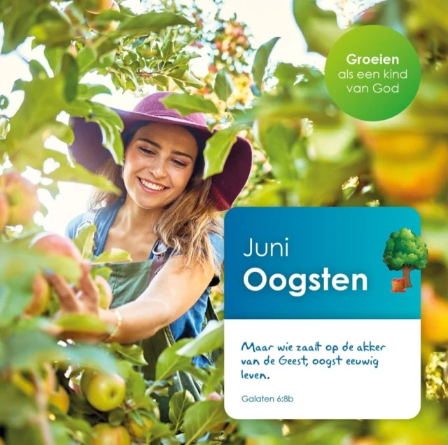 Van harte welkom bij de laatste maandsluiting van dit schooljaar! Maandag 30 juni om 14.30 uur, verzorgd door groep 8.#groeienalseenkindvangod #jaarthema #oogsten #basisschooldeprincenhof #leeuwarden #noorderbasis