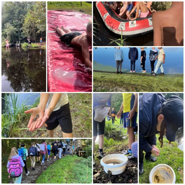 De groepen 6 en 7 genoten van een heerlijke dag buiten in de Alde Feanen in Earnewâld.Op zoek naar beestjes, survivallen en een speurtocht!#schoolreis #survivallen #aldefeanen #lekkerbuiten #basisschooldeprincenhof #leeuwarden #noorderbasis